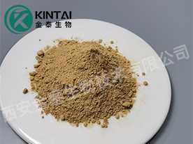 Senna Leaf extract powder